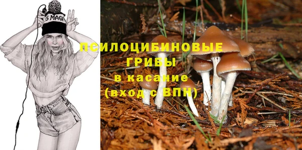 спиды Алексин