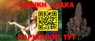 гидра Славгород