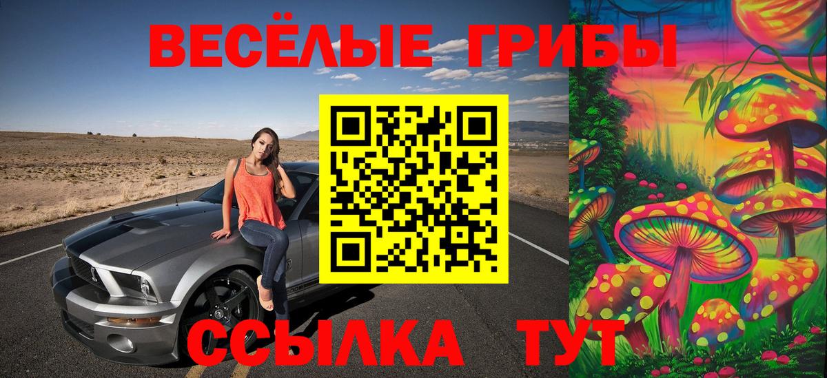 Псилоцибиновые грибы GOLDEN TEACHER  Псилоцибиновые грибы Cubensis  Ангарск  Вход с VPN 